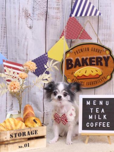 20240929マイアちゃん